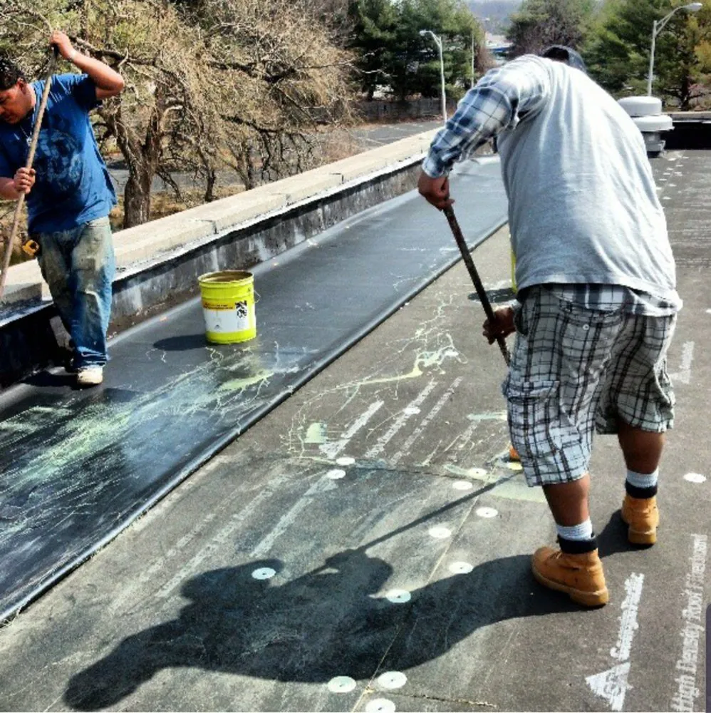 Slide of Lions Roofing