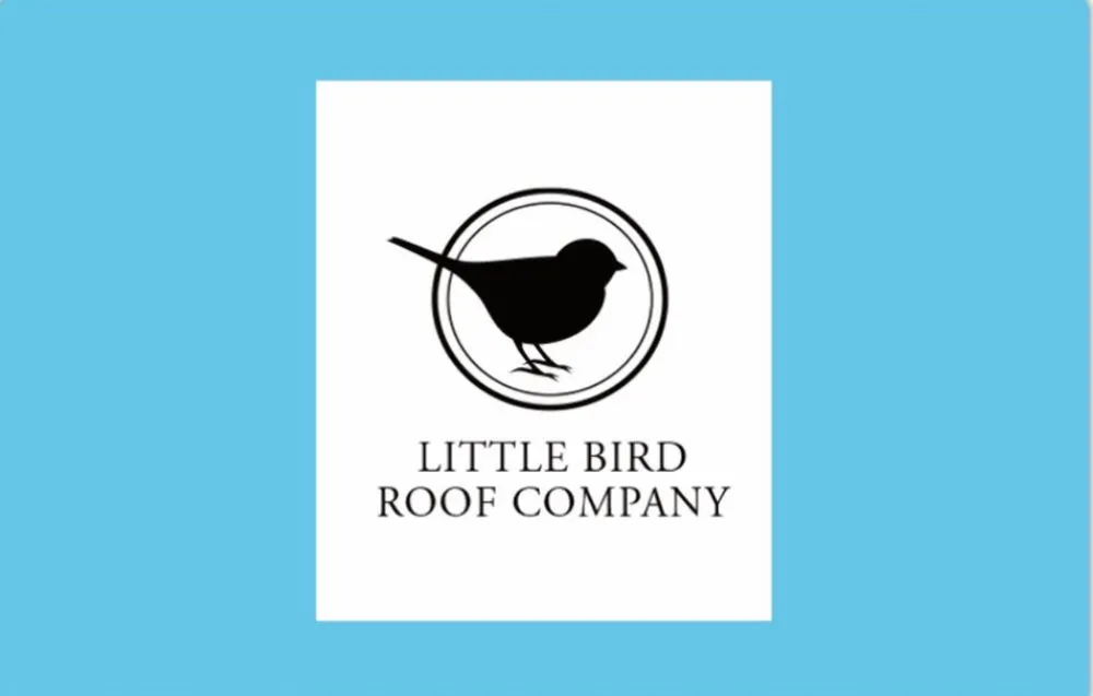 Slide of Little Bird Roof