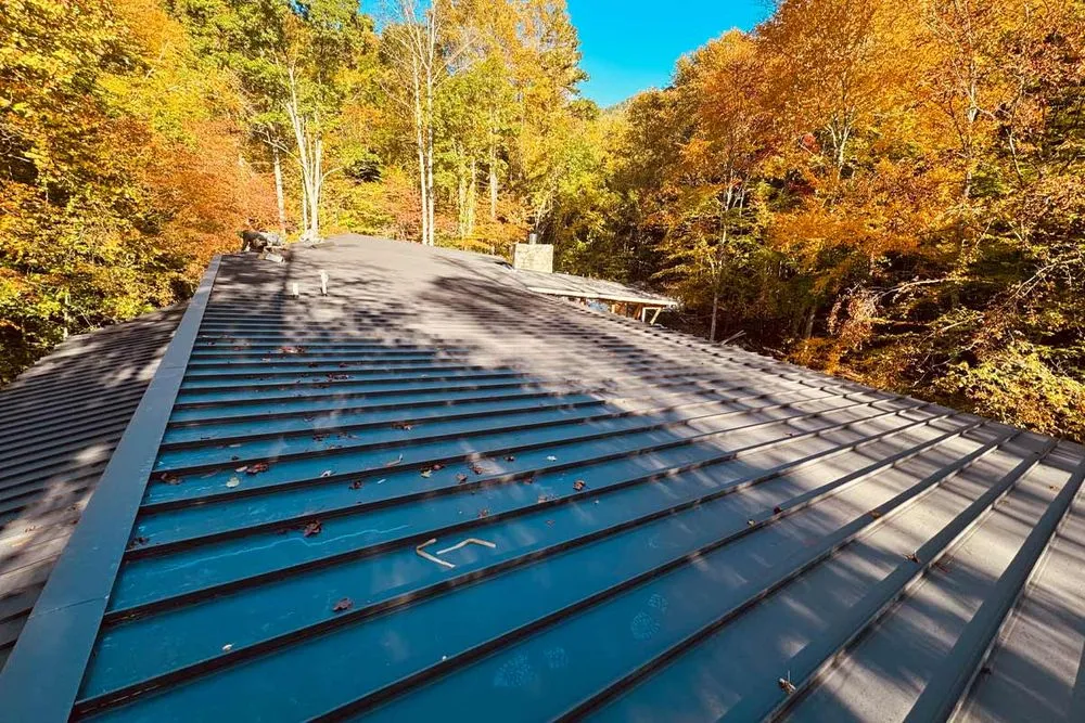 Slide of Little Bird Roof