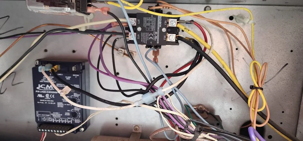 Slide of Little Rams