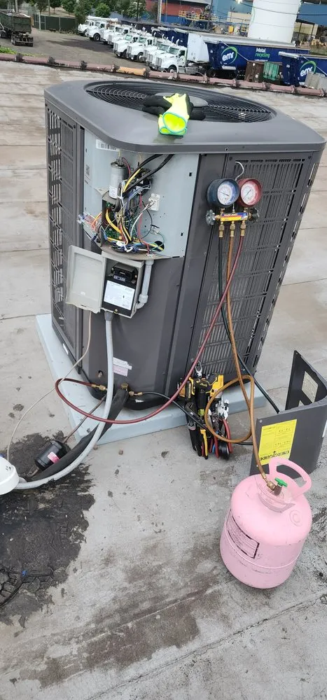 Slide of Little Rams