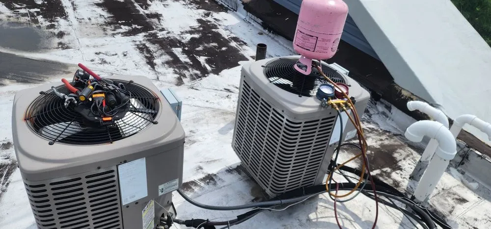 Slide of Little Rams