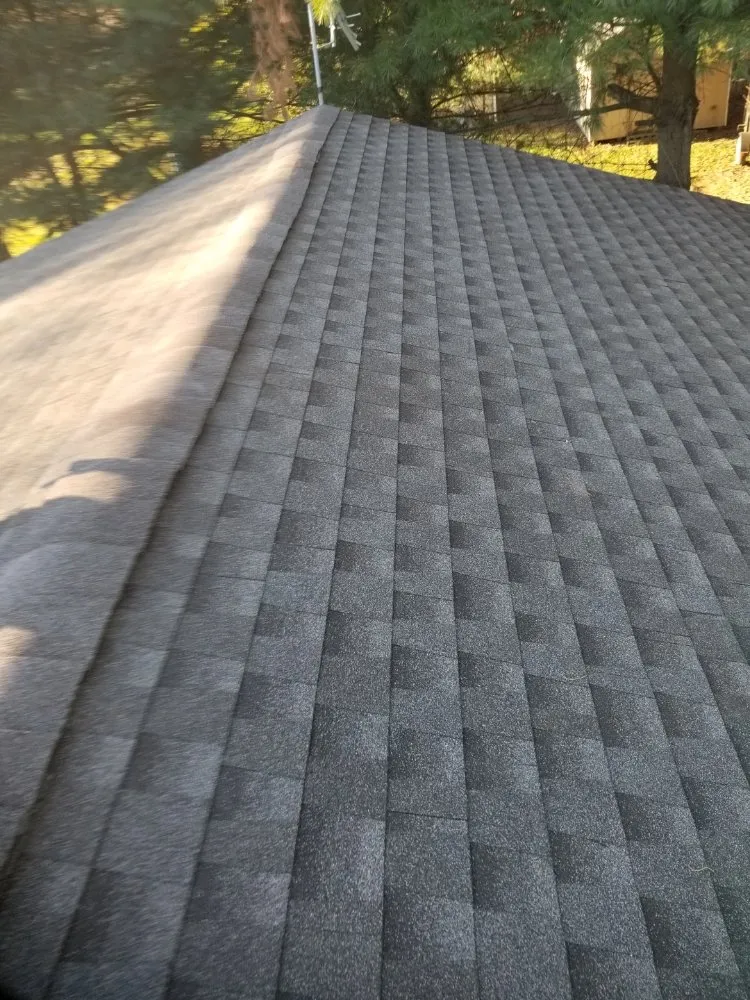 Slide of Little Tiger Roofing