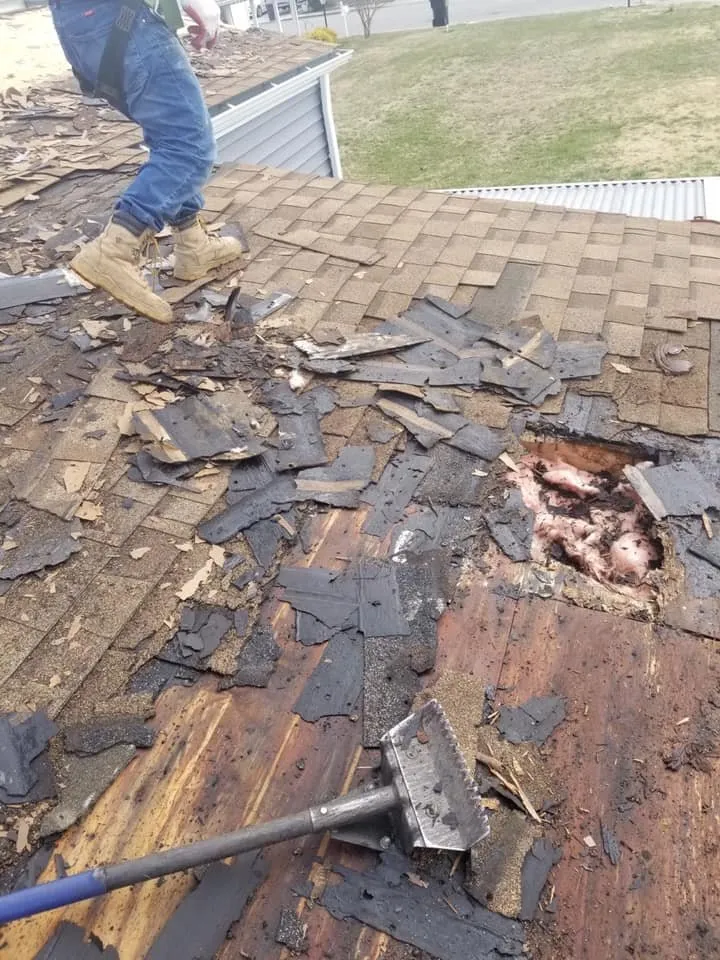 Slide of Little Tiger Roofing