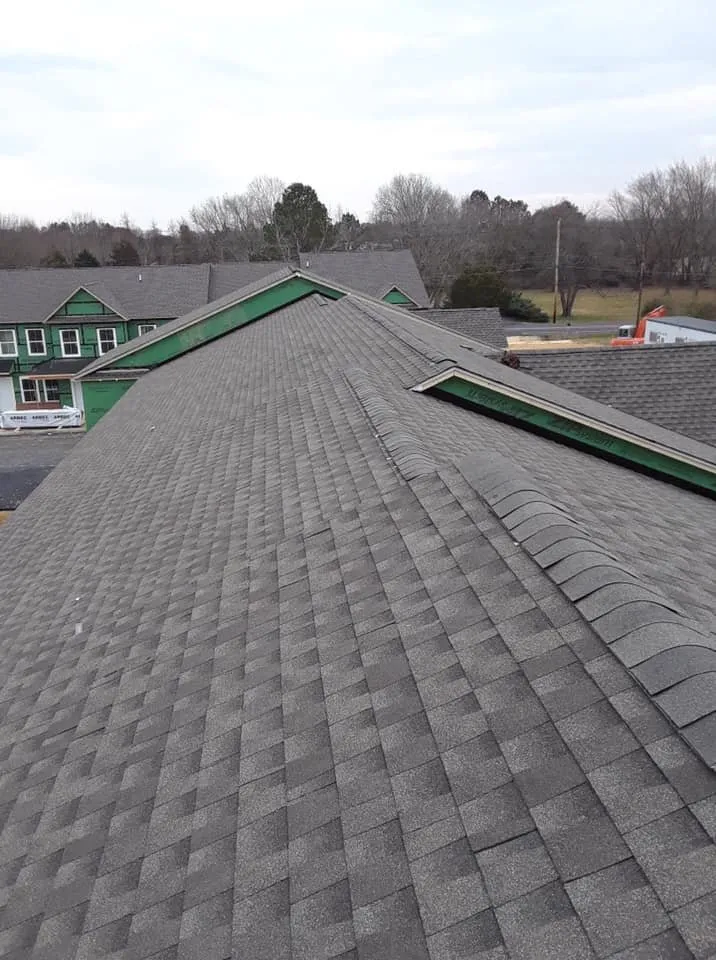 Slide of Little Tiger Roofing