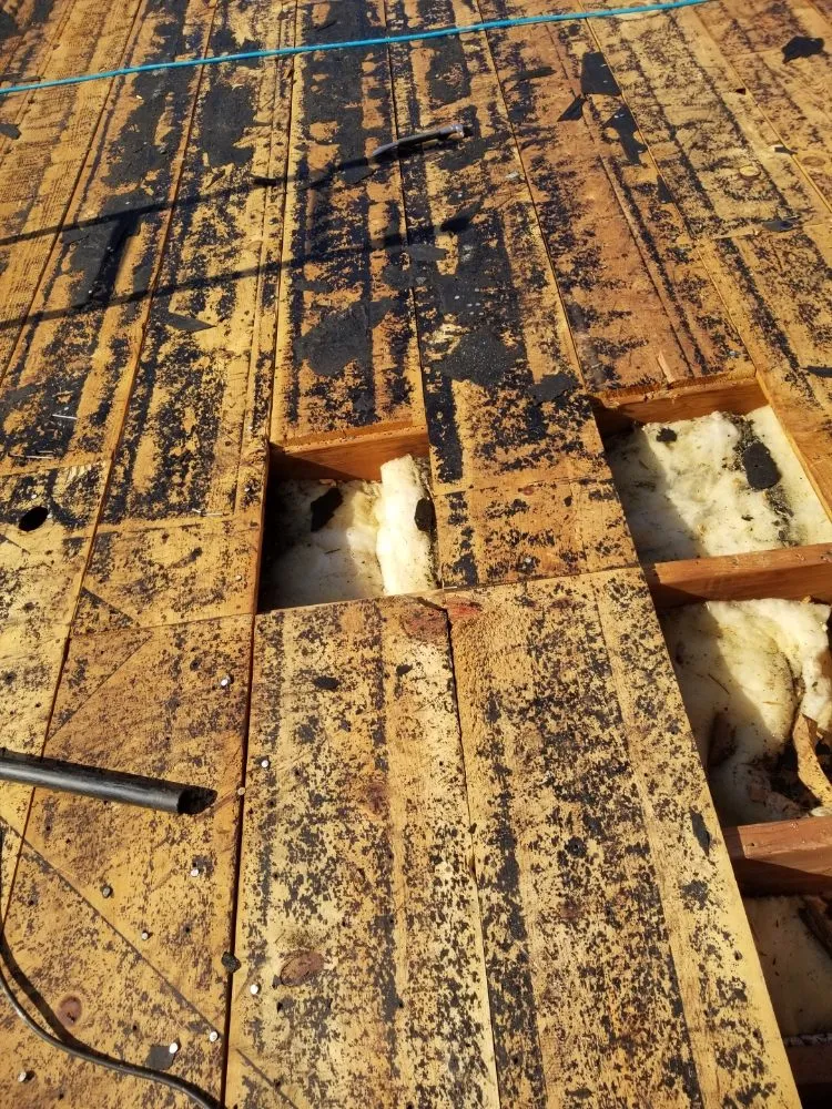 Slide of Little Tiger Roofing