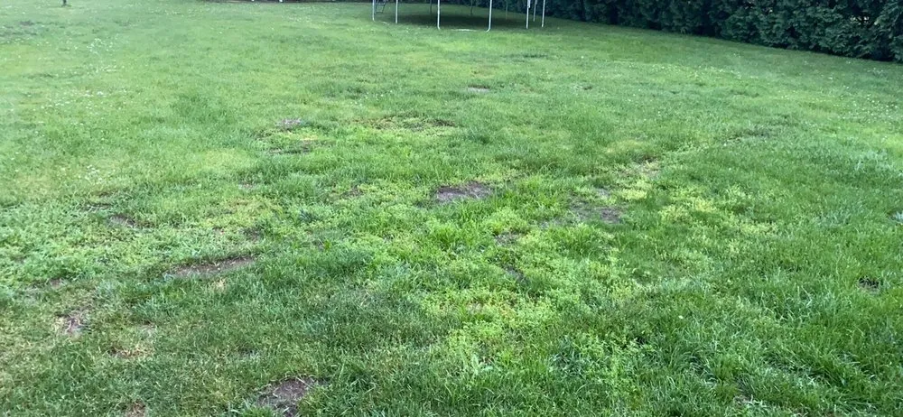 Slide of Lively Home Improvement