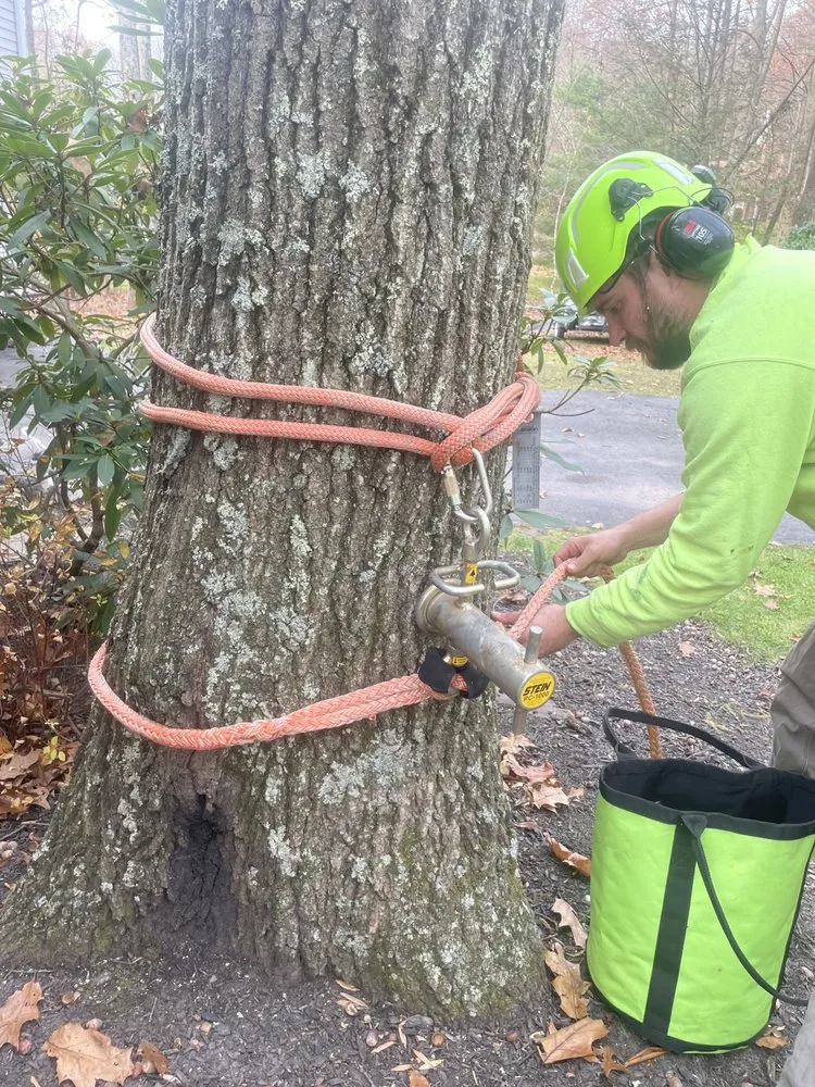 Professional residential roofing service in Long Pond, PA by LJ’s Tree & General Contracting