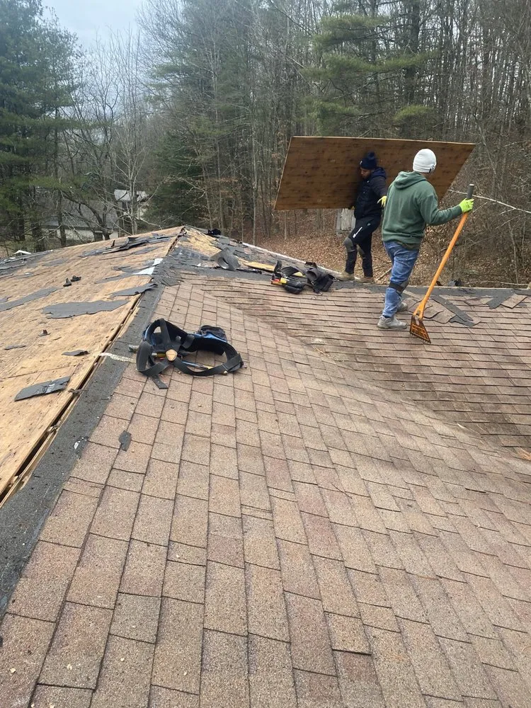Licensed shingle roofing service in Long Pond, PA - LJ’s Tree & General Contracting