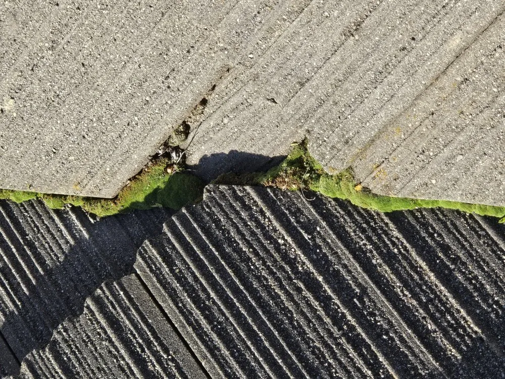 Slide of Lomeli Roofing
