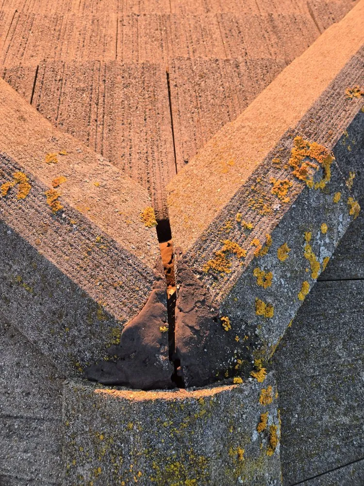 Slide of Lomeli Roofing
