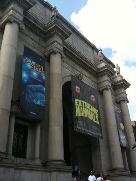 Slide of London Construction Services