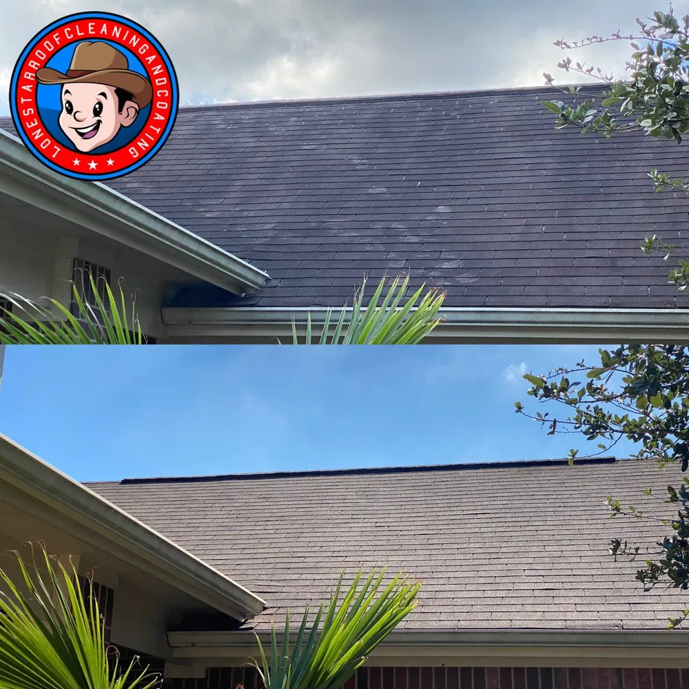 Slide of Lone Star Roof Cleaning & Coating