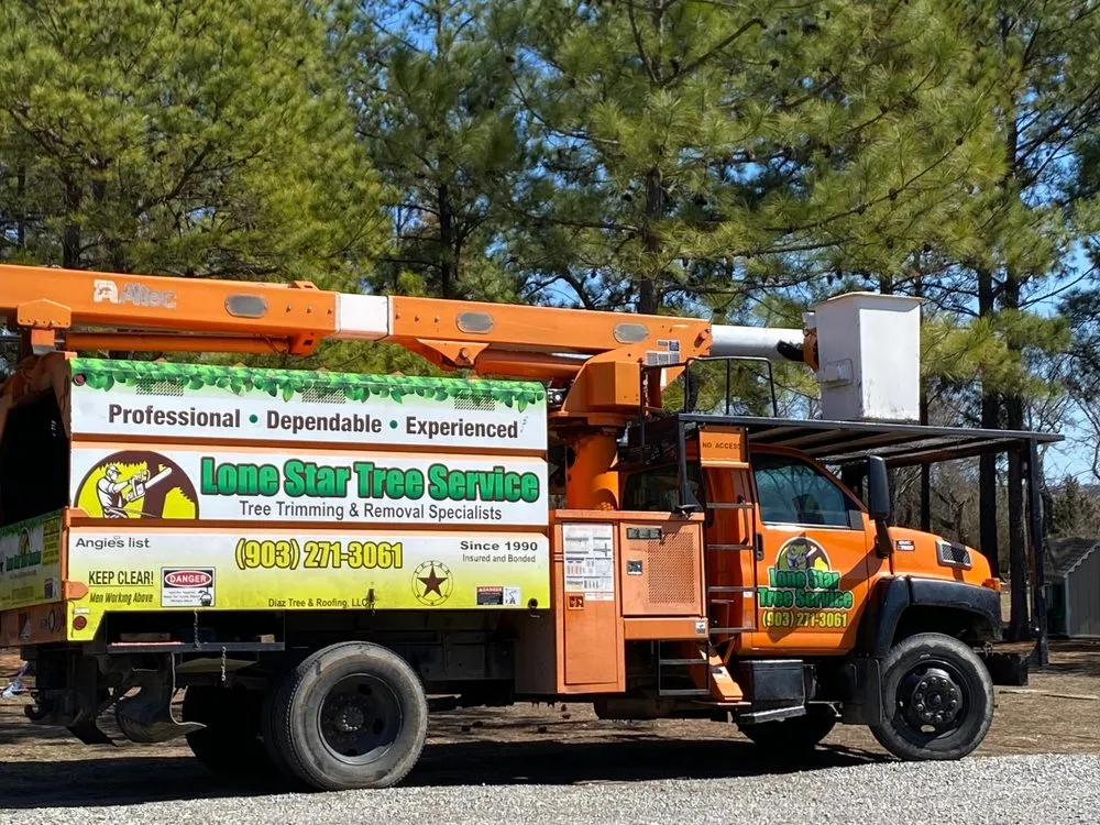 Slide of Lone Star Tree & Roofing Services