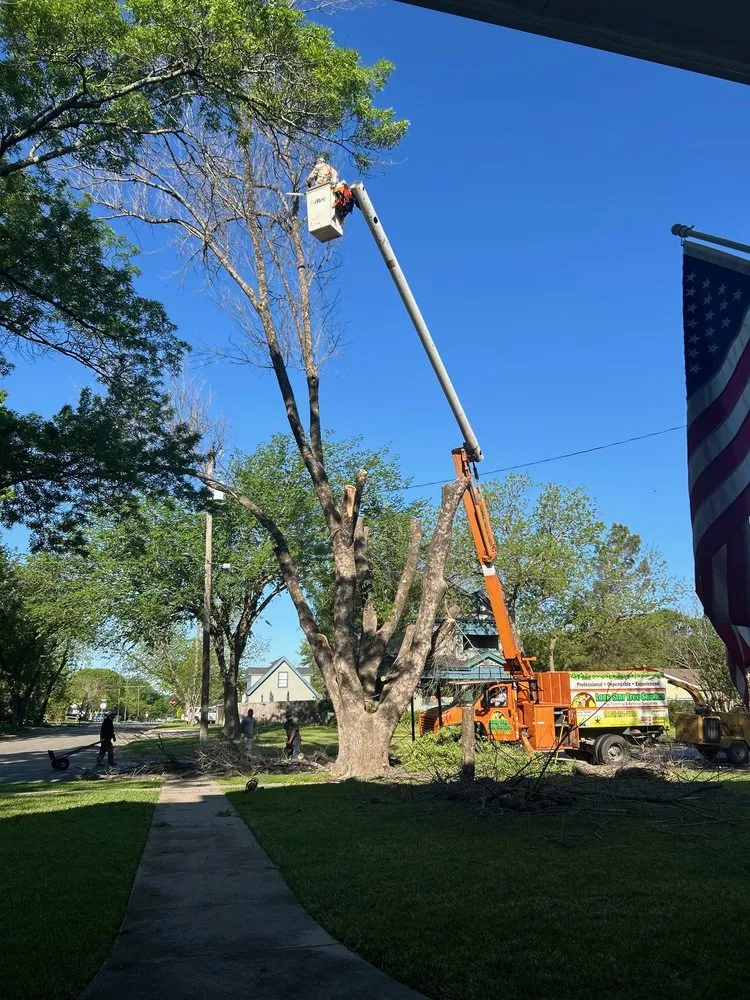 Slide of Lone Star Tree & Roofing Services