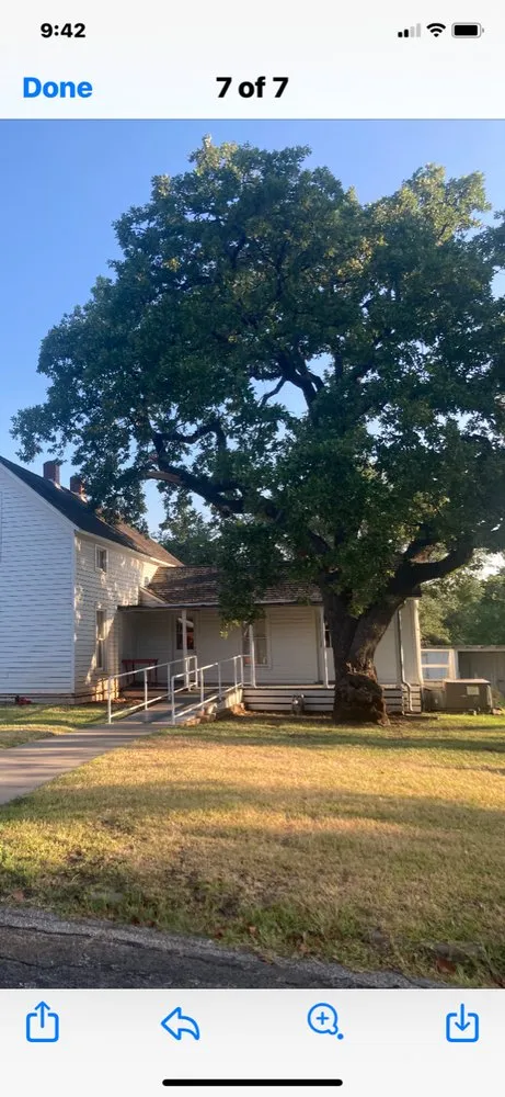 Slide of Lone Star Tree & Roofing Services