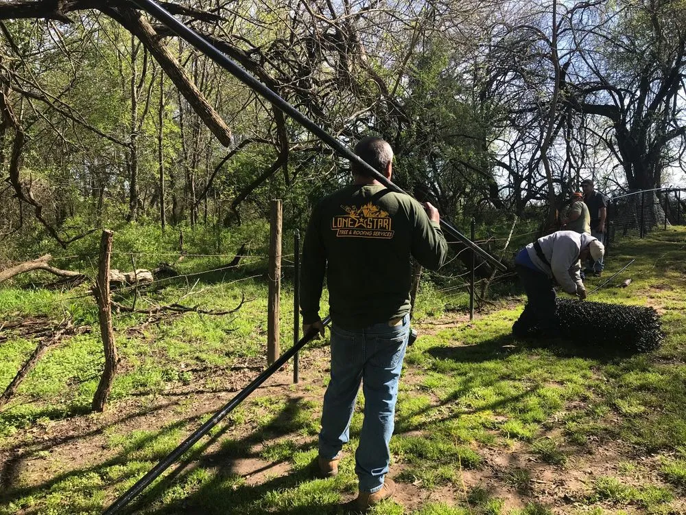 Slide of Lone Star Tree & Roofing Services