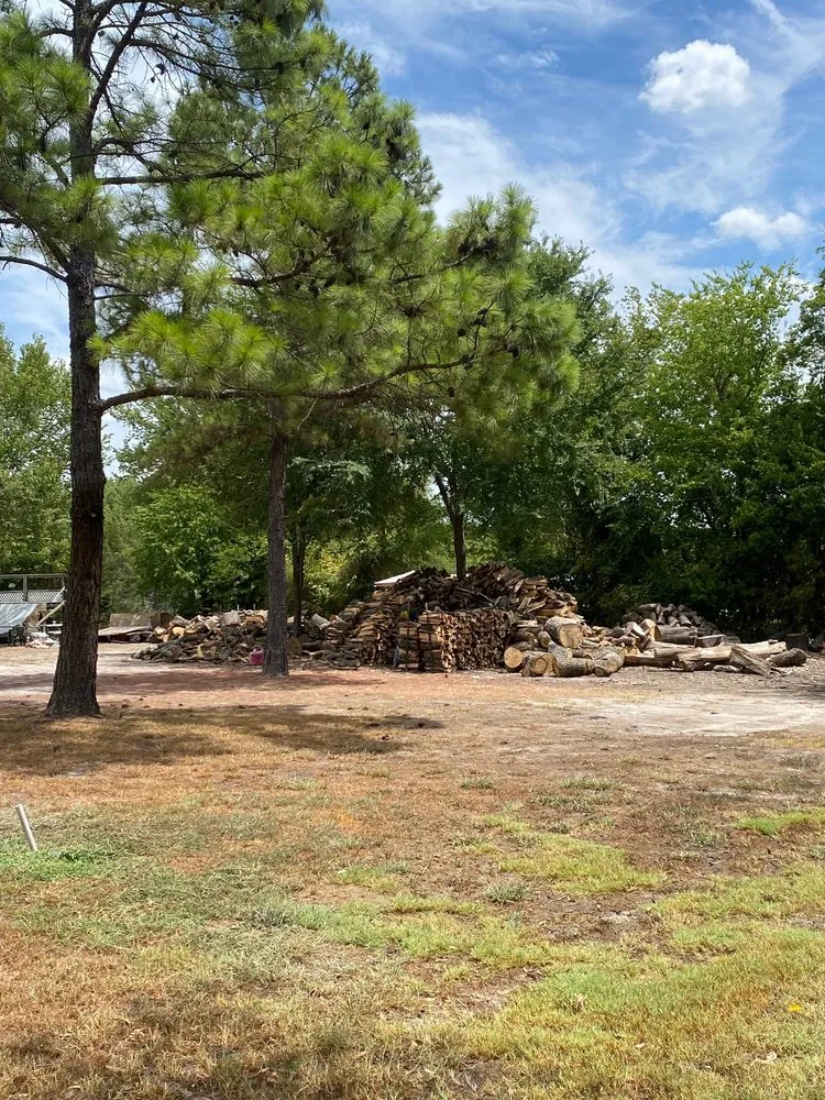 Slide of Lone Star Tree & Roofing Services