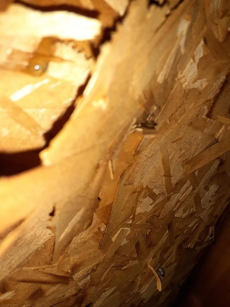 Slide of Long Home Products