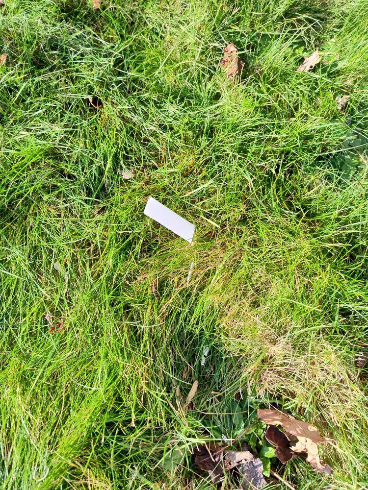 Slide of Long Home Products