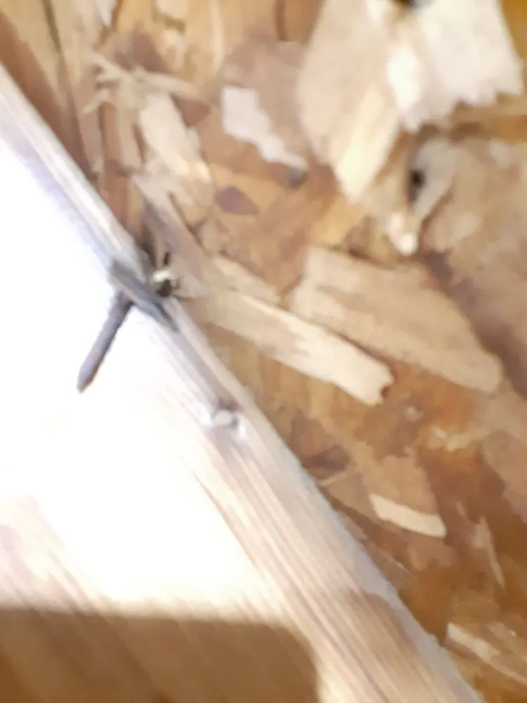 Slide of Long Home Products