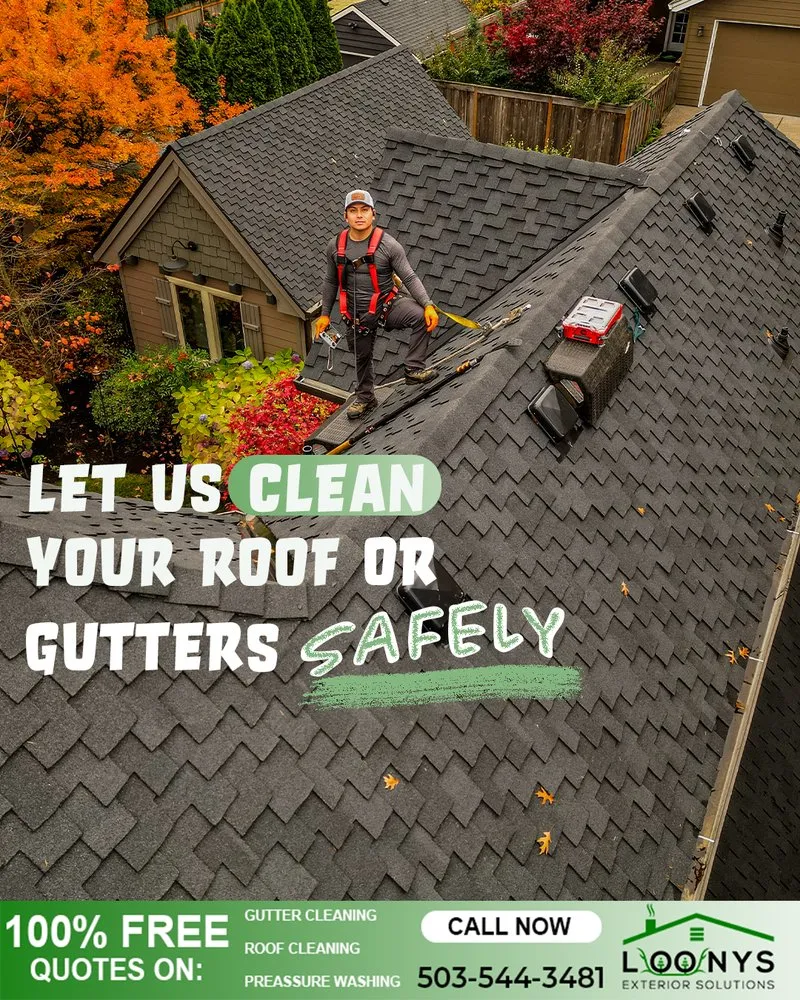 Slide of Loony Exterior Solutions