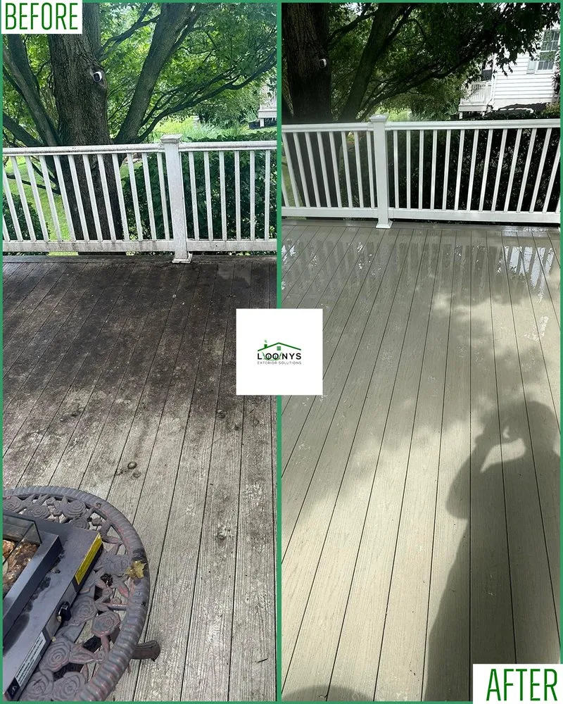 Slide of Loony Exterior Solutions