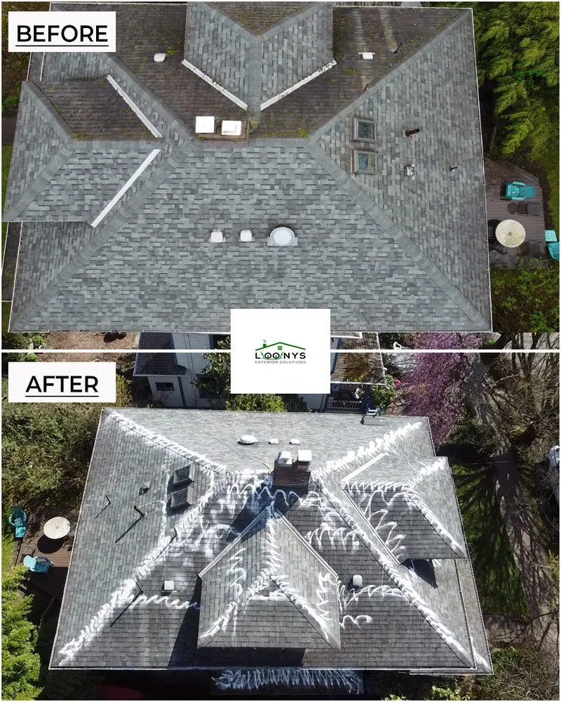 Slide of Loony Exterior Solutions