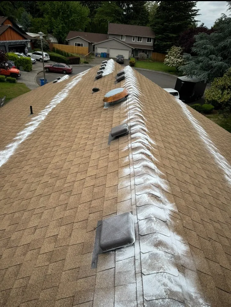 Slide of Loony Exterior Solutions