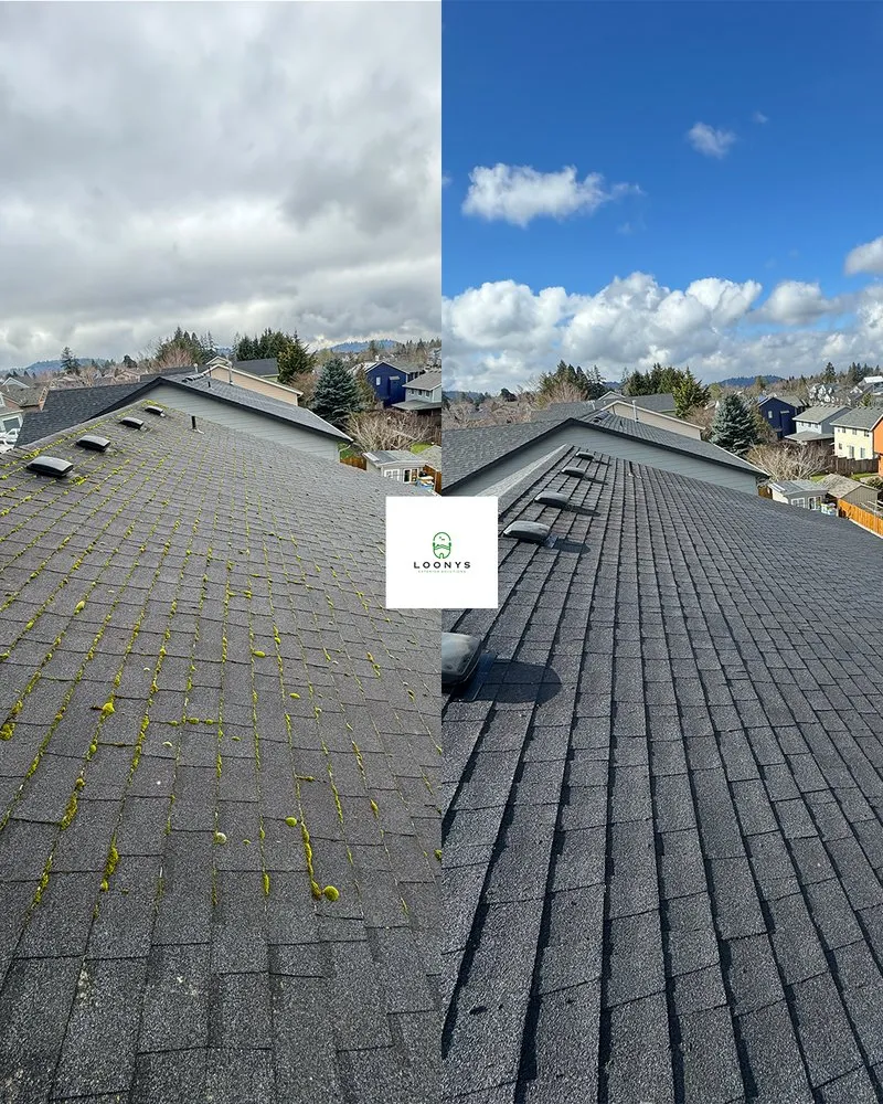 Slide of Loony Exterior Solutions