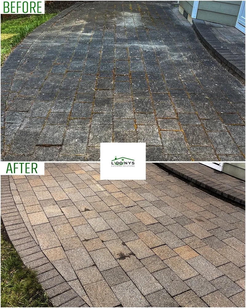 Slide of Loony Exterior Solutions