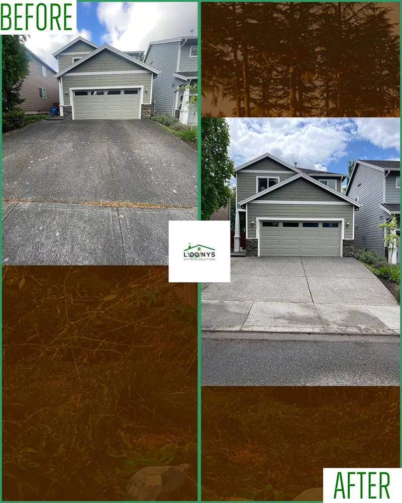 Slide of Loony Exterior Solutions