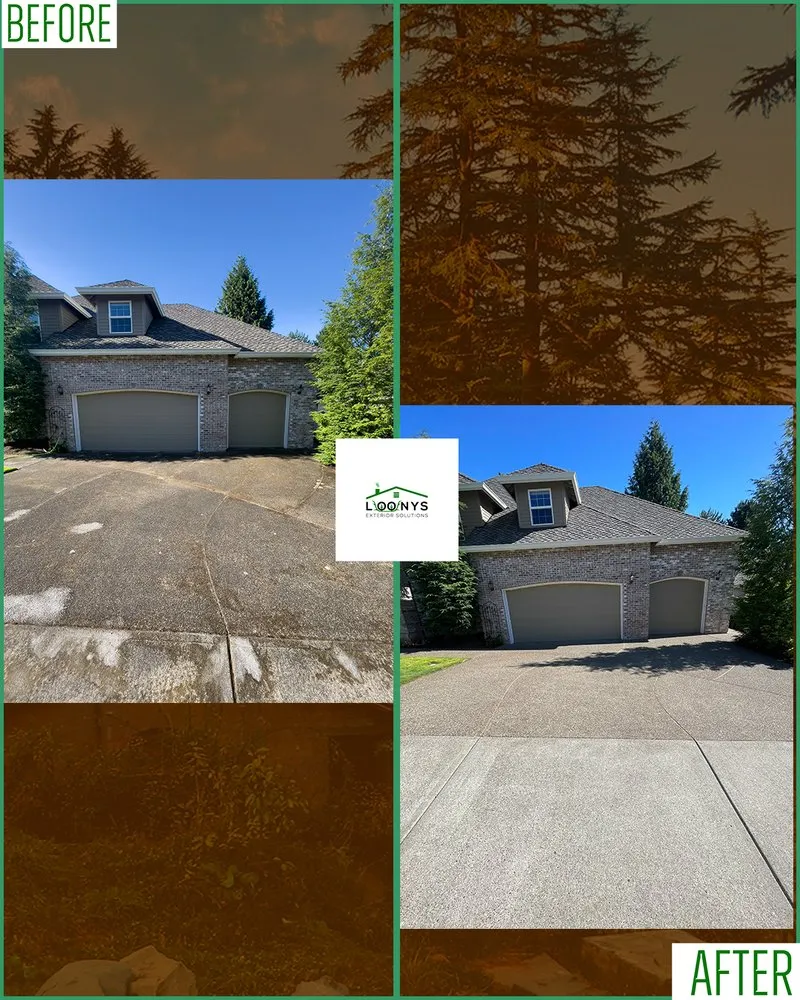 Slide of Loony Exterior Solutions