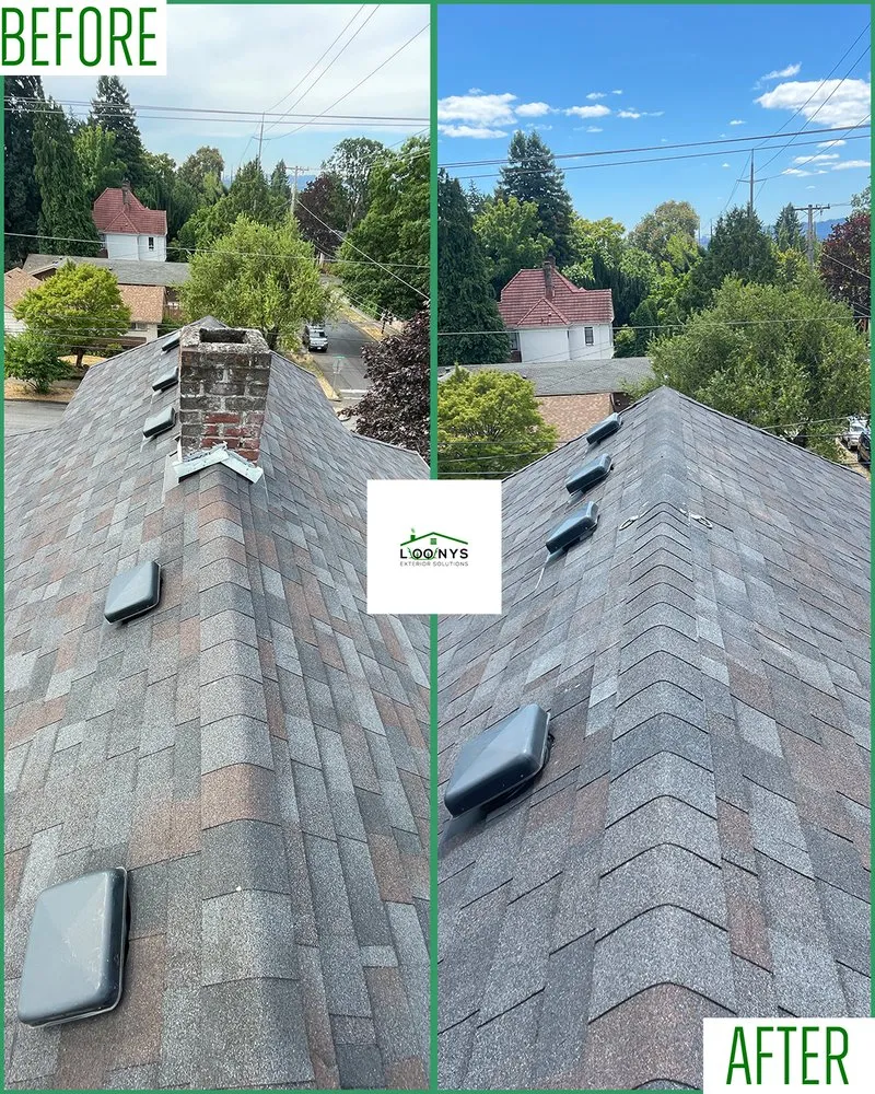 Slide of Loony Exterior Solutions