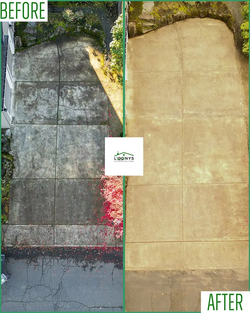 Slide of Loony Exterior Solutions