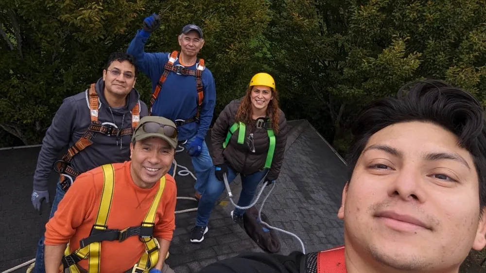 Slide of Loony Exterior Solutions