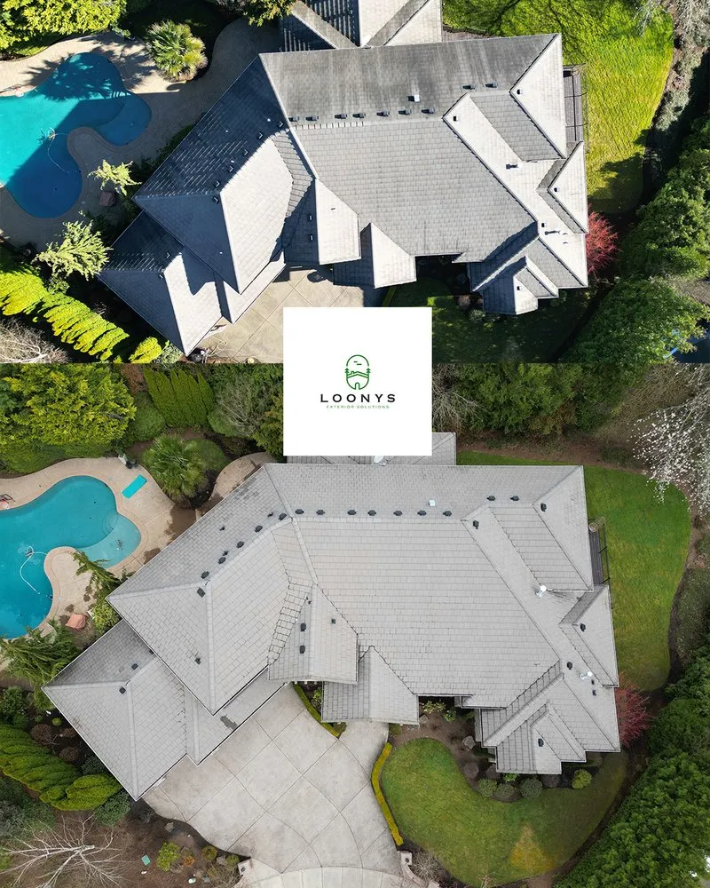 Slide of Loony Exterior Solutions