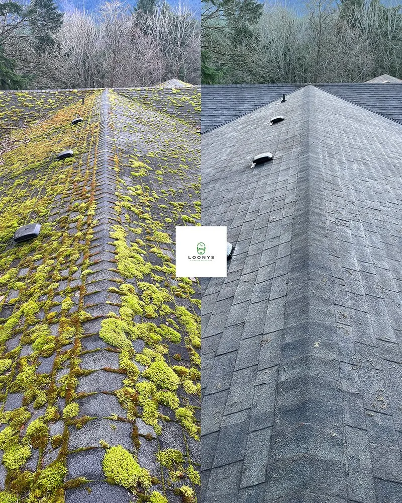 Slide of Loony Exterior Solutions