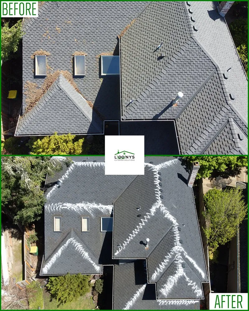 Slide of Loony Exterior Solutions