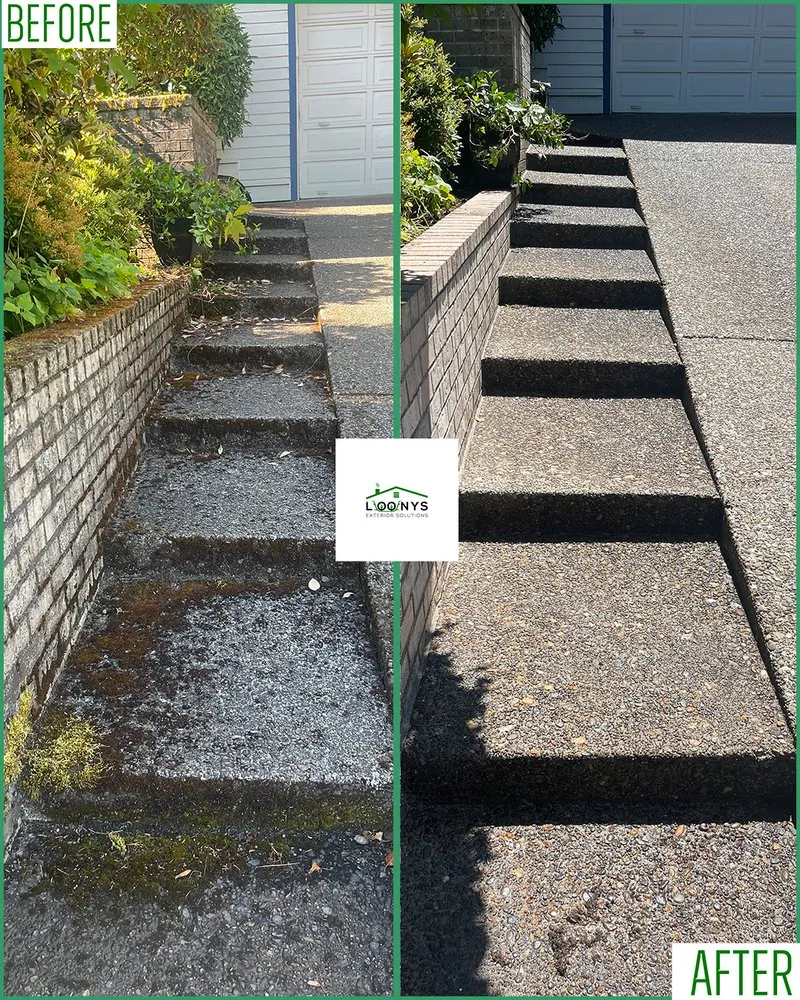 Slide of Loony Exterior Solutions