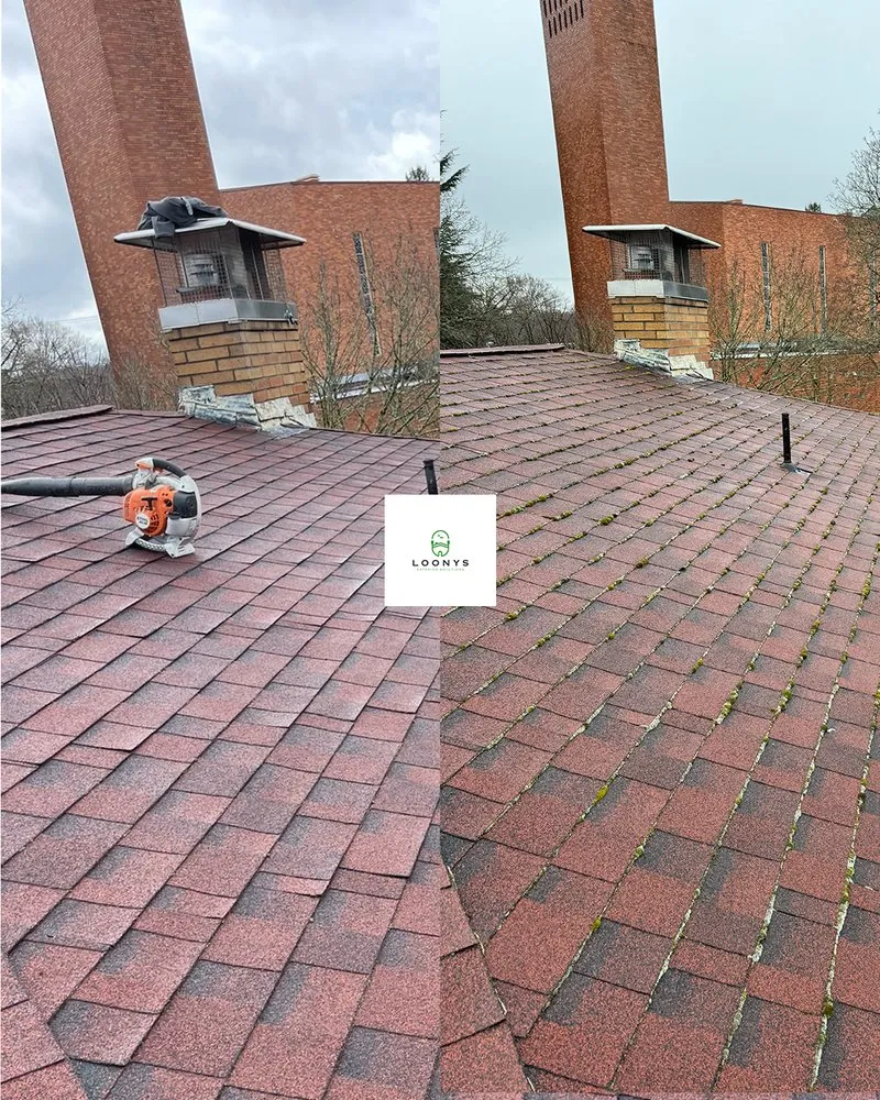 Slide of Loony Exterior Solutions