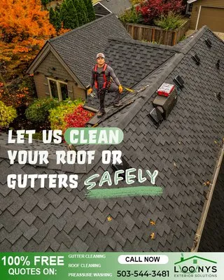 Loony Exterior Solutions