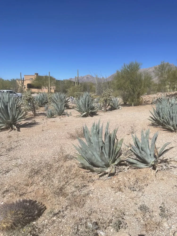 Slide of Lopeezee Yard Service