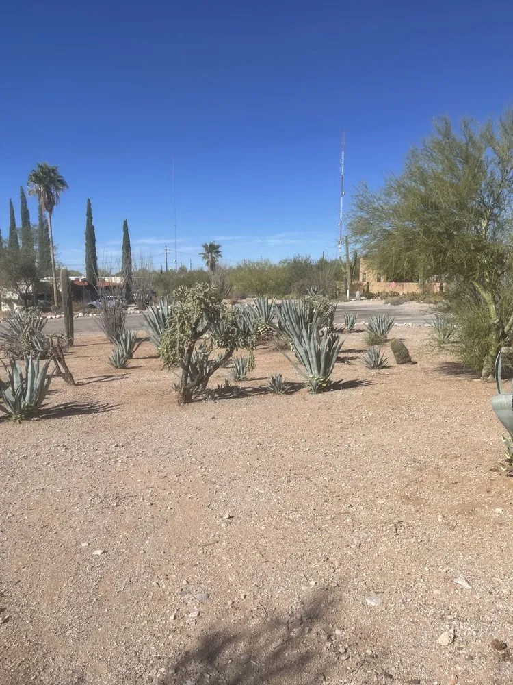 Slide of Lopeezee Yard Service