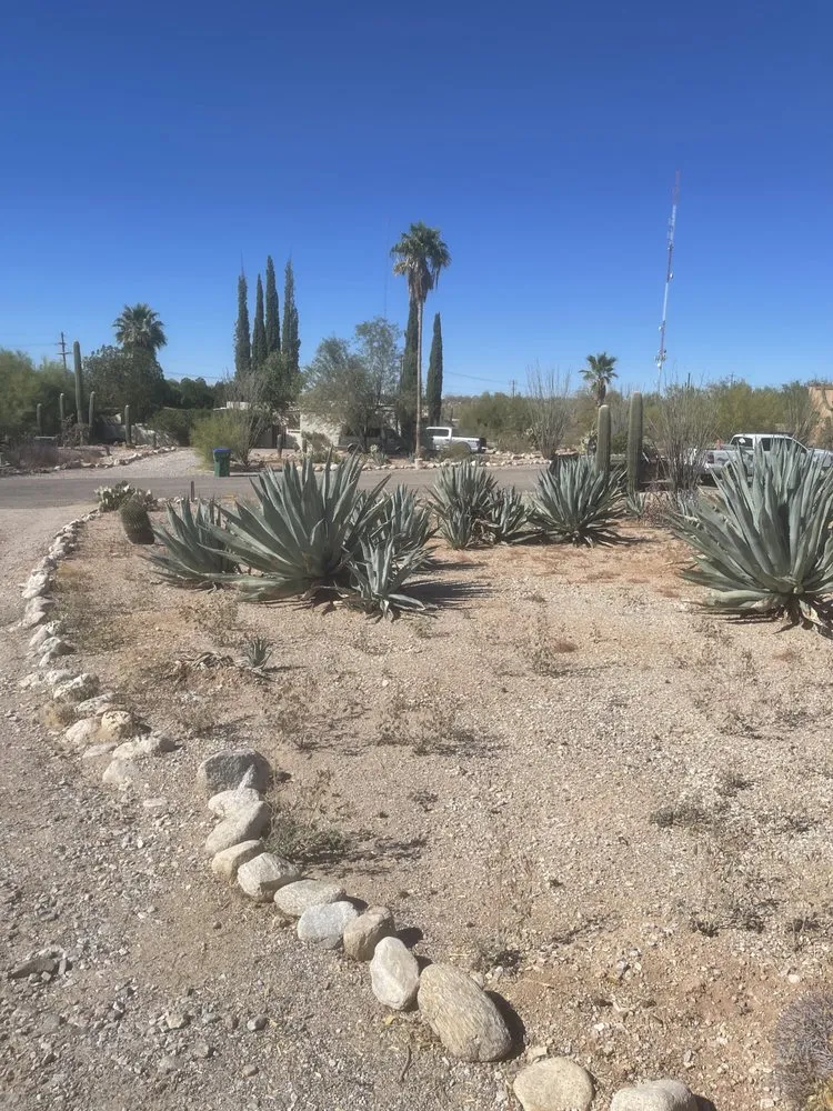 Slide of Lopeezee Yard Service