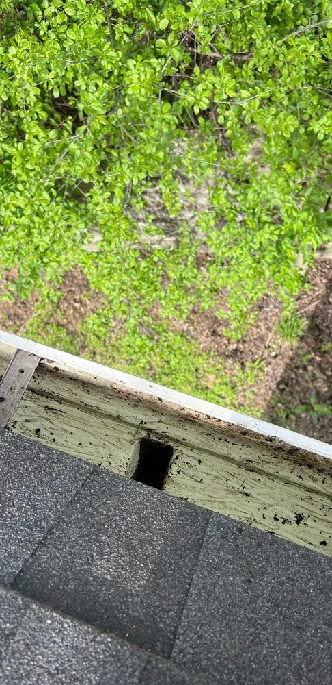 Slide of Los Primos Services