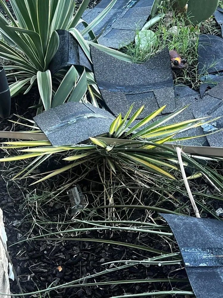 Slide of Lotus Leaks And Roof Restorations