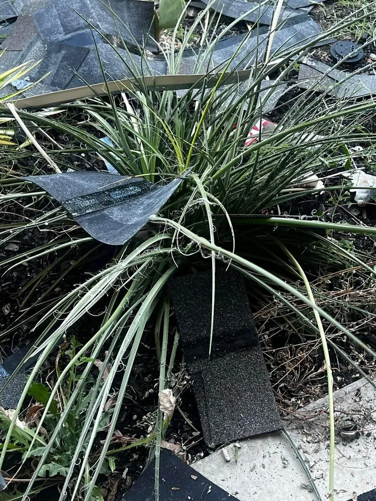 Slide of Lotus Leaks And Roof Restorations