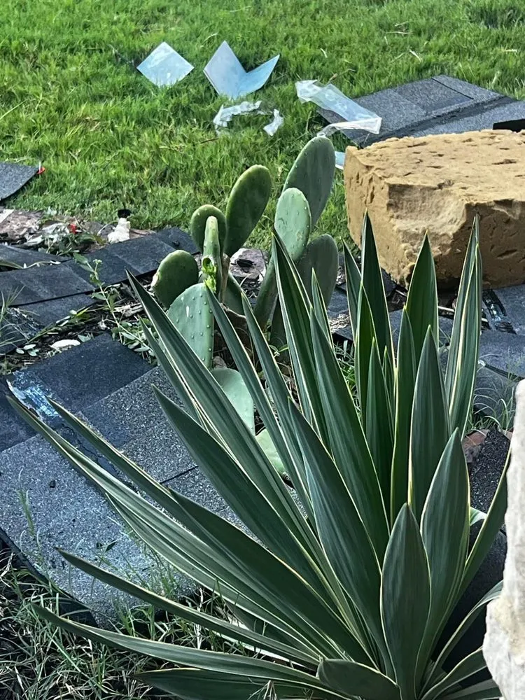 Slide of Lotus Leaks And Roof Restorations