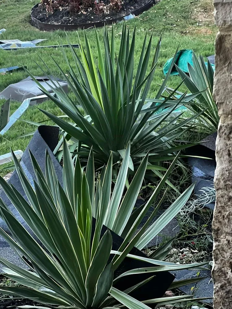 Slide of Lotus Leaks And Roof Restorations